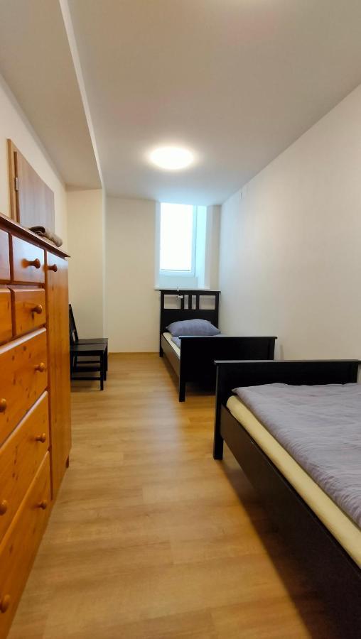 Apartment Stankova 브르노 외부 사진