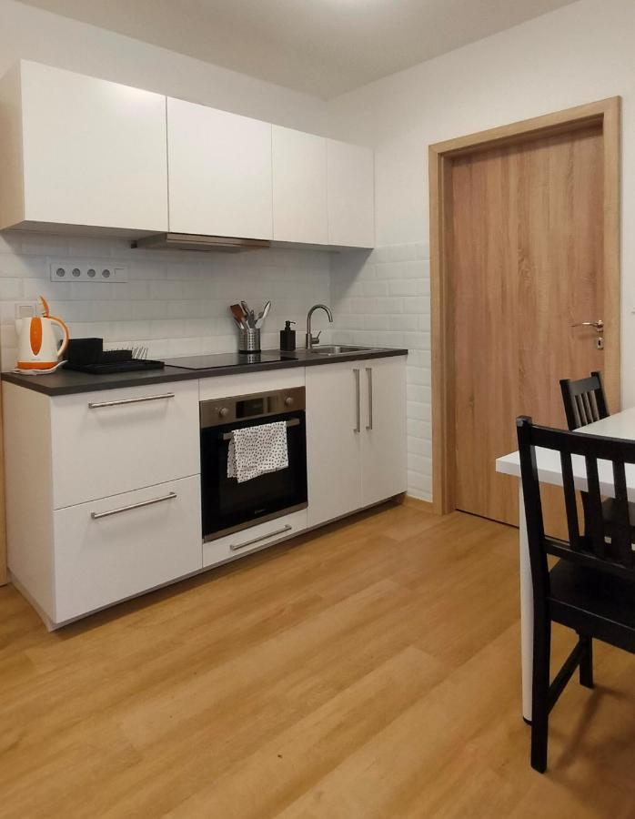 Apartment Stankova 브르노 외부 사진